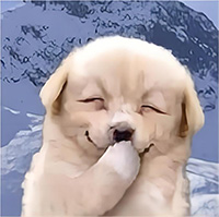 ëë������